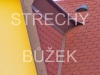 strechy-buzek-91